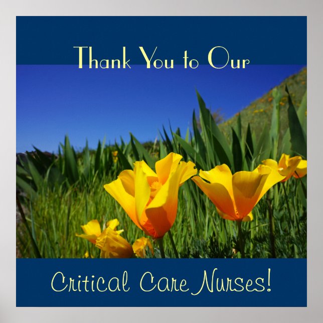 Nurse's Week-Plakate Vielen Dank, Critical Care RN Poster (Vorne)