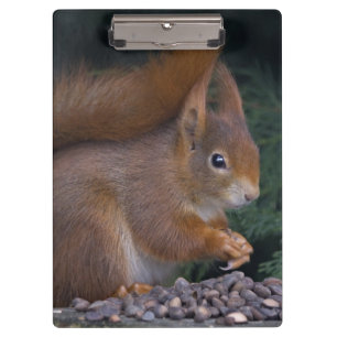 Nuss-Brunch-Clipboard Klemmbrett