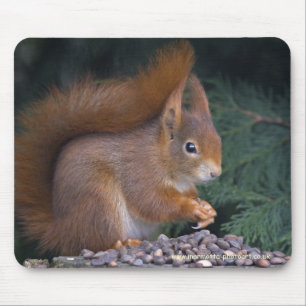 Nuss-Brunch Mousemat Mousepad