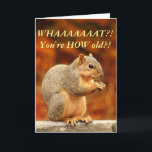 Nüsse! Funny Birthday Card Karte<br><div class="desc">Mit dieser niedlichen Eichhörnchen-Geburtstagskarte kannst du dich mit deinen Freunden/der Familie abfinden!</div>