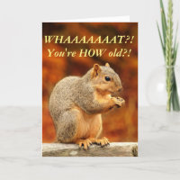 Nüsse! Funny Birthday Card