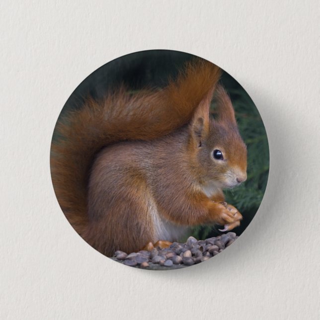 Nut Brunch-Abzeichen Button (Vorderseite)
