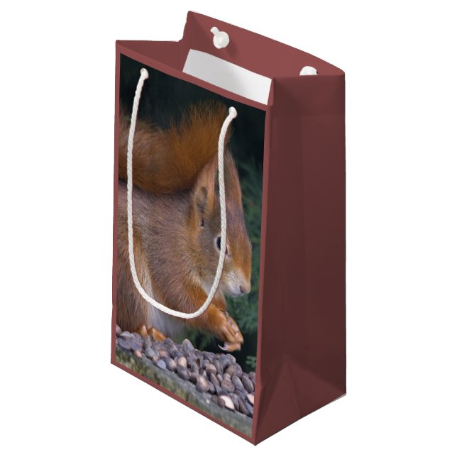 Nut Brunch Geschenktasche Kleine Geschenktüte (Vorderseite Schrägansicht)