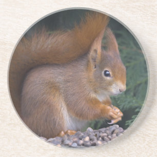 Nut Brunch-Untersetzer Getränkeuntersetzer