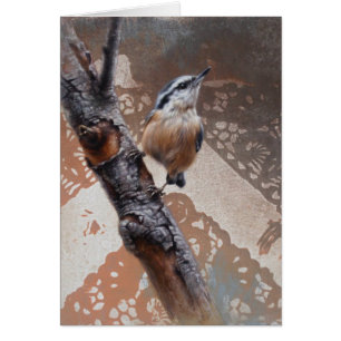 Nuthatch Blank Card von Andrew Denman