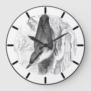 Nuthatch British Bird Large Clock Große Wanduhr