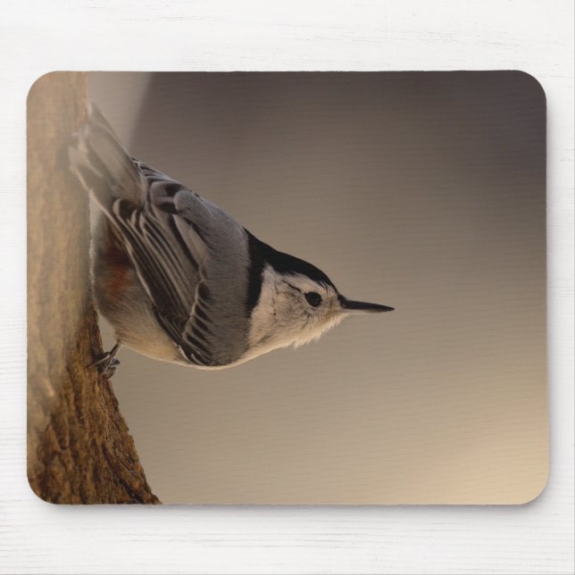 Nuthatch_Mousepad Mousepad (Vorne)