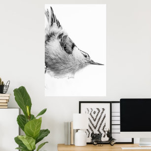 Nuthatch, White Bird Fotografie Poster