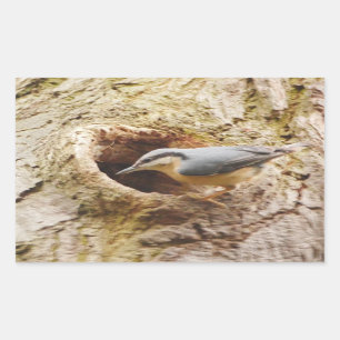 Nuthatsch und Speckhalle Rechteckiger Aufkleber