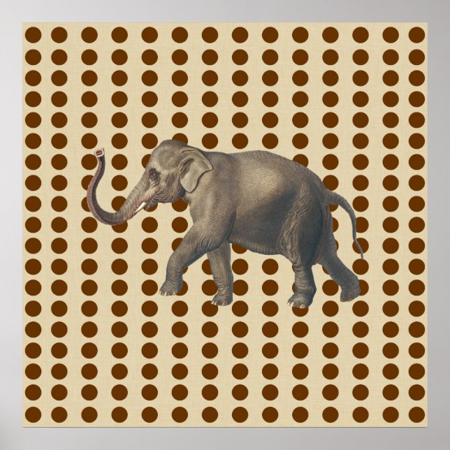 Nutmeg Spice Stimmungen Punkte mit Elefant Poster (Vorne)