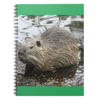 Nutria Notebook Notizblock