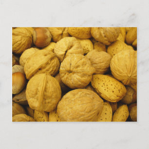 Nuts Postkarte 001