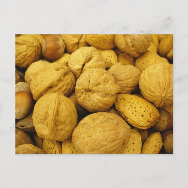 Nuts Postkarte 001 (Vorderseite)