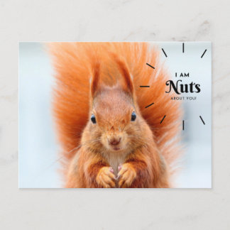 Nuts über Ihre Postkarte