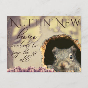 Nuttin' New Squirrel Vintage-Style Postkarten