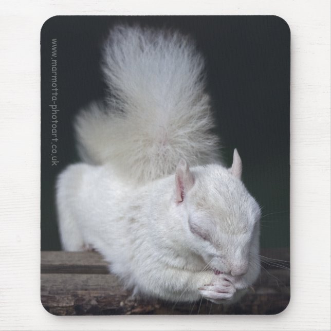 Nutty's Prayer Mousemat Mousepad (Vorne)