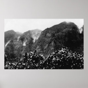 Nuuanu Tal, Hawaii - Ansicht des umgedrehten Poster