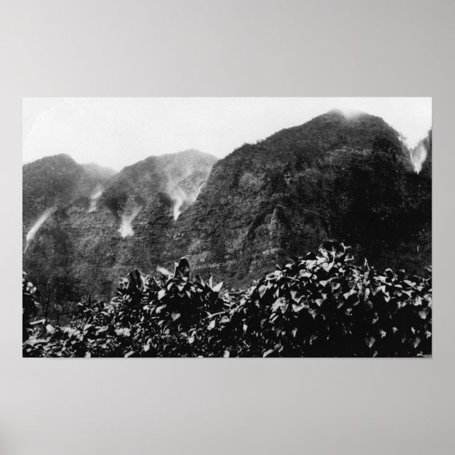 Nuuanu Tal, Hawaii - Aussicht auf Herbst Poster (Vorne)