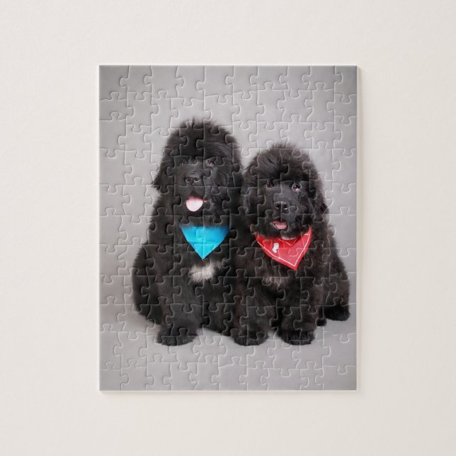 Nuwfie Brüder (Vertikal)