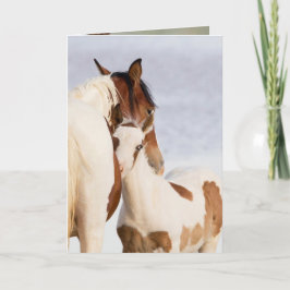 Nuzzle Wild Horse Grußkarte Karte