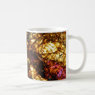 NWA Kaffeetasse Meteorit 1877 verdünnen Abschnitt