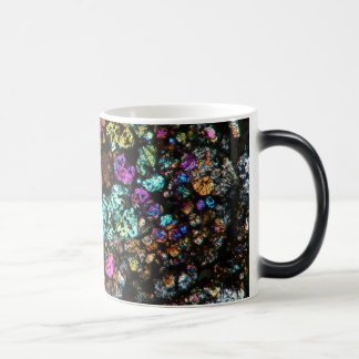 NWA Meteorit-dünne Abschnitt-Kaffeetasse 02 Verwandlungstasse