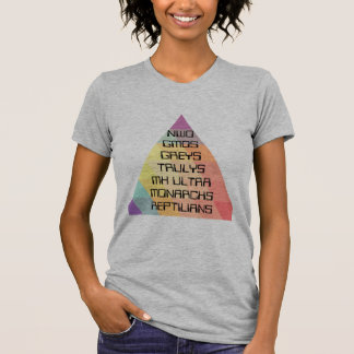 NWO MK Ultra Conspiracy T - Shirt
