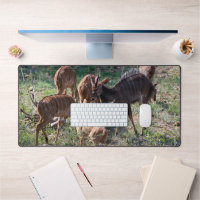 Nyala gracieux dans les prairies africaines