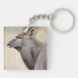 Nyala mit Oxpecker Schlüsselanhänger