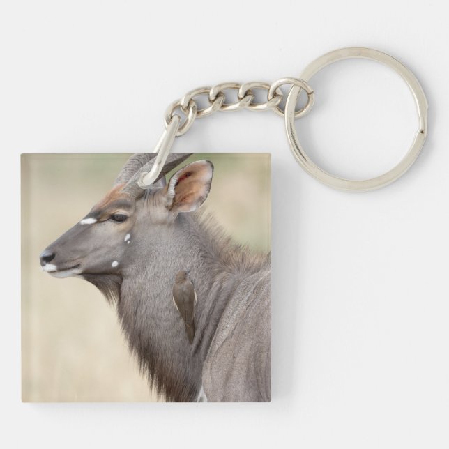 Nyala mit Oxpecker Schlüsselanhänger (Rückseite)
