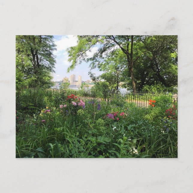 NYC Riverside Park Hudson River New York Carte pos (Devant)