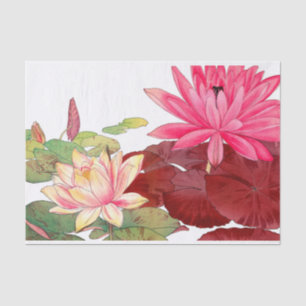 Nymphaea lotus, Decoupage Seidenpapier