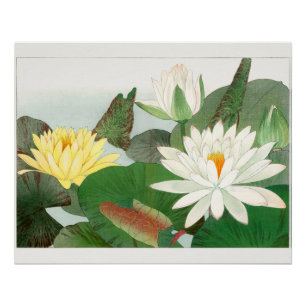 Nymphaea lotus, japanischer Holzschnitt, 1917 Poster
