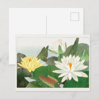 Nymphaea lotus, japanischer Holzschnitt, 1917 Postkarte