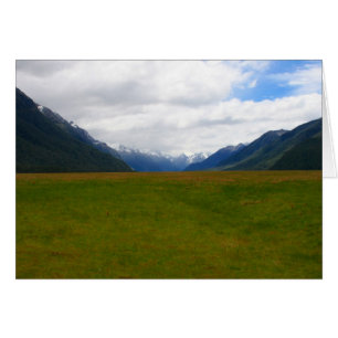 Nz-Feld