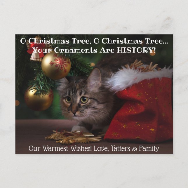 O Christmas Tree Cat Holiday Foto Postkarte (Vorderseite)