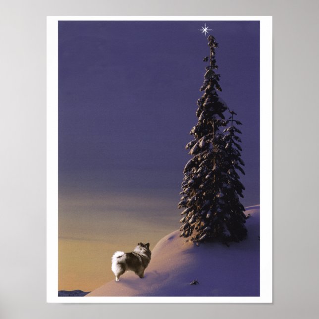 "O Christmas Tree" Keeshond-Poster Poster (Vorne)
