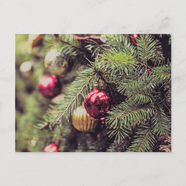 O Christmas Tree Postkarte (Vorderseite)