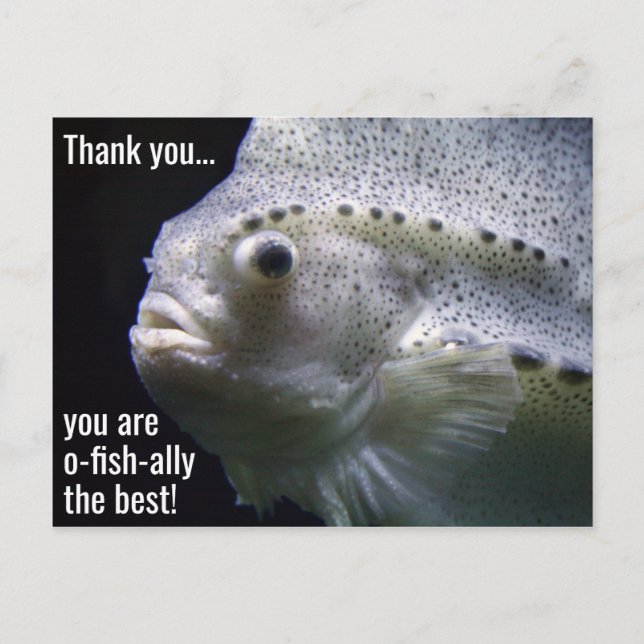 O-fish the Best Danke Postcard Postkarte (Vorderseite)