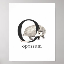 O für Opossum-Poster Poster