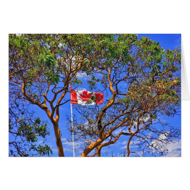 O Kanada - Karten (Vorderseite (Horizontal))