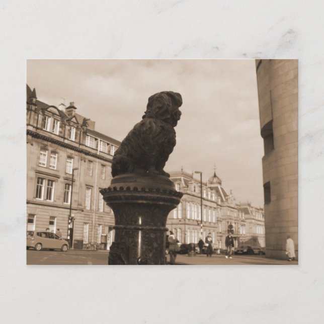 O Meister, wo bist du? Postkarte (Vorderseite)