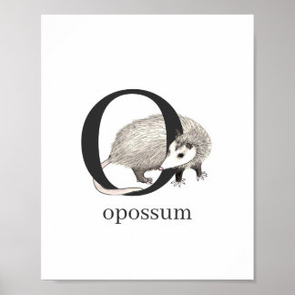 O pour Opossum Poster