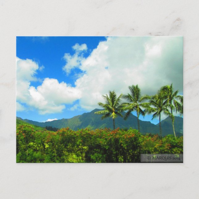 OAHU, HAWAII#6 CARTE POSTALE (Devant)