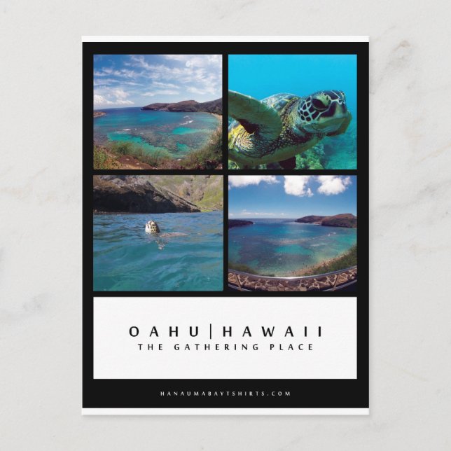 Oahu Hawaii Hanauma Bay Post Card Postkarte (Vorderseite)