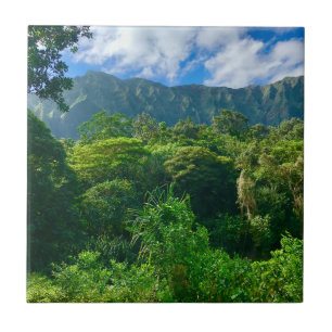 Oahu, Hawaii Regenwald Fliese