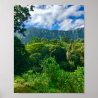 Oahu, Hawaii Regenwald