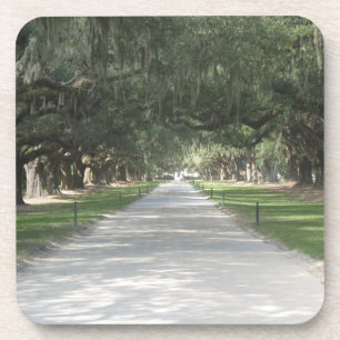 Oak Alley bei Boone Hall, Charleston SC Untersetze Untersetzer