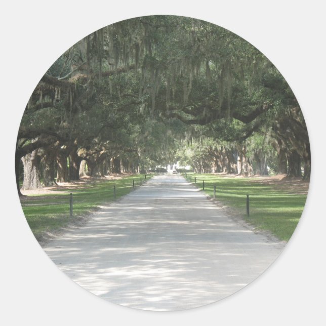Oak Alley in Boone Hall, Charleston SC Stickers (Vorderseite)
