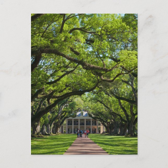 Oak Alley Plantation House Postkarte (Vorderseite)